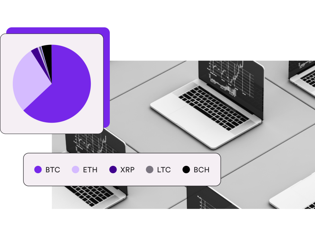 A depiction of Chillur portfolio allocation with different coins and a pie chart.